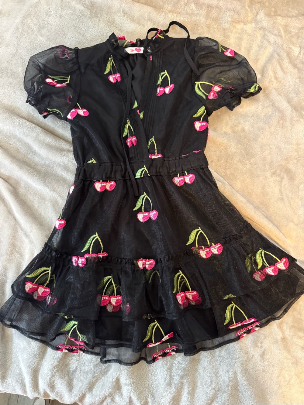 BuddyLove Clementine Black Cherry Embroidered Mini Dress size 8T